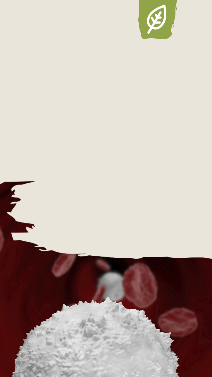 person,clothing,face,people,sleeve,wedding cake,long sleeve,jacket,plant,crowd