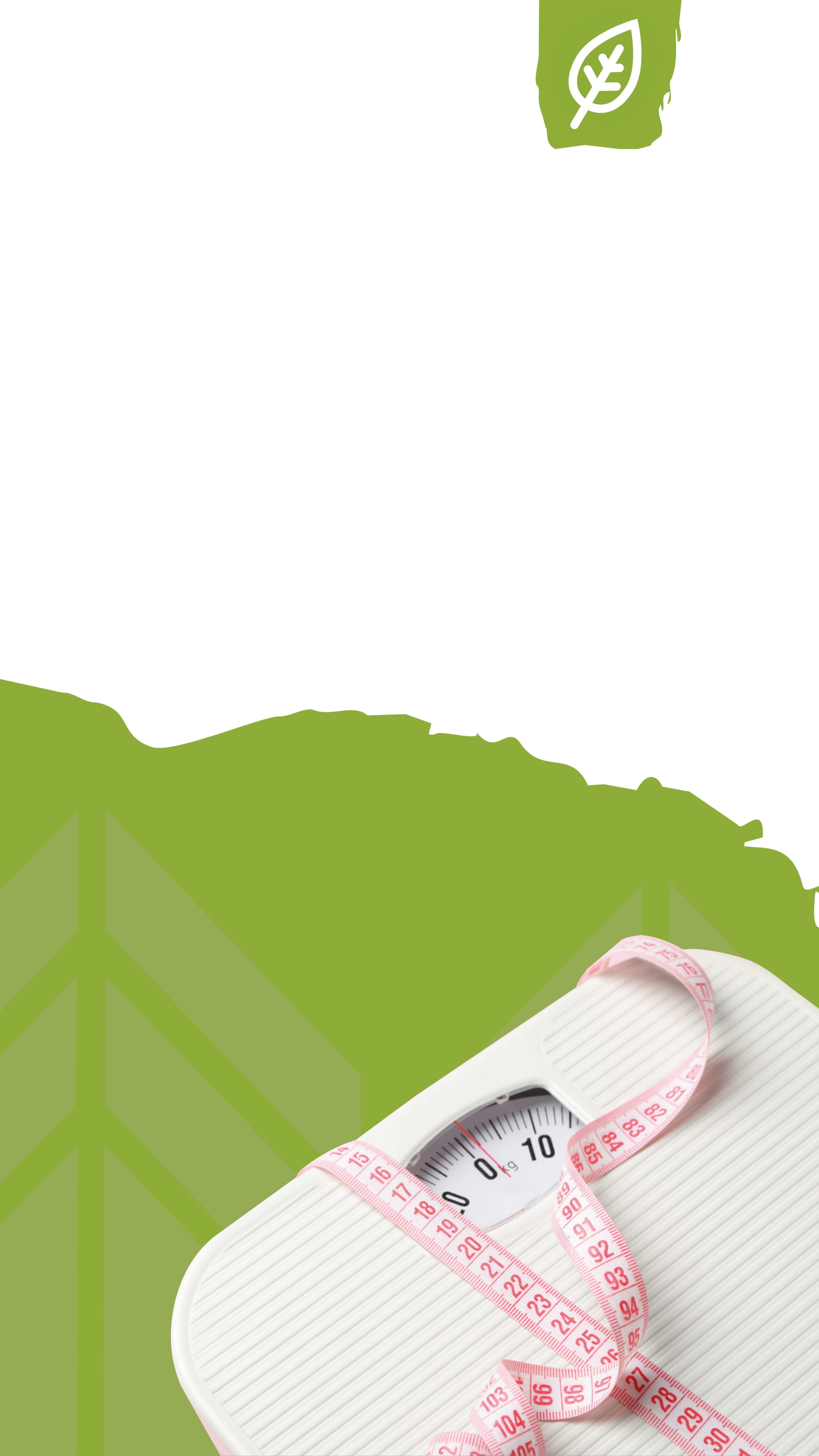 clothing,apparel,leaf,plant,green,footwear,shoe,tie,accessories,accessory