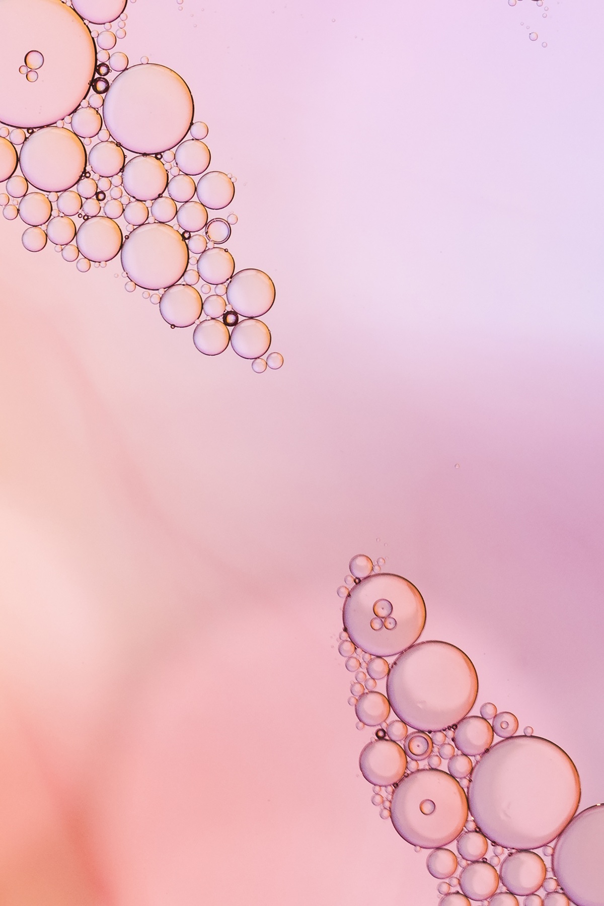 abstract-pink-tentacles-form.jpg