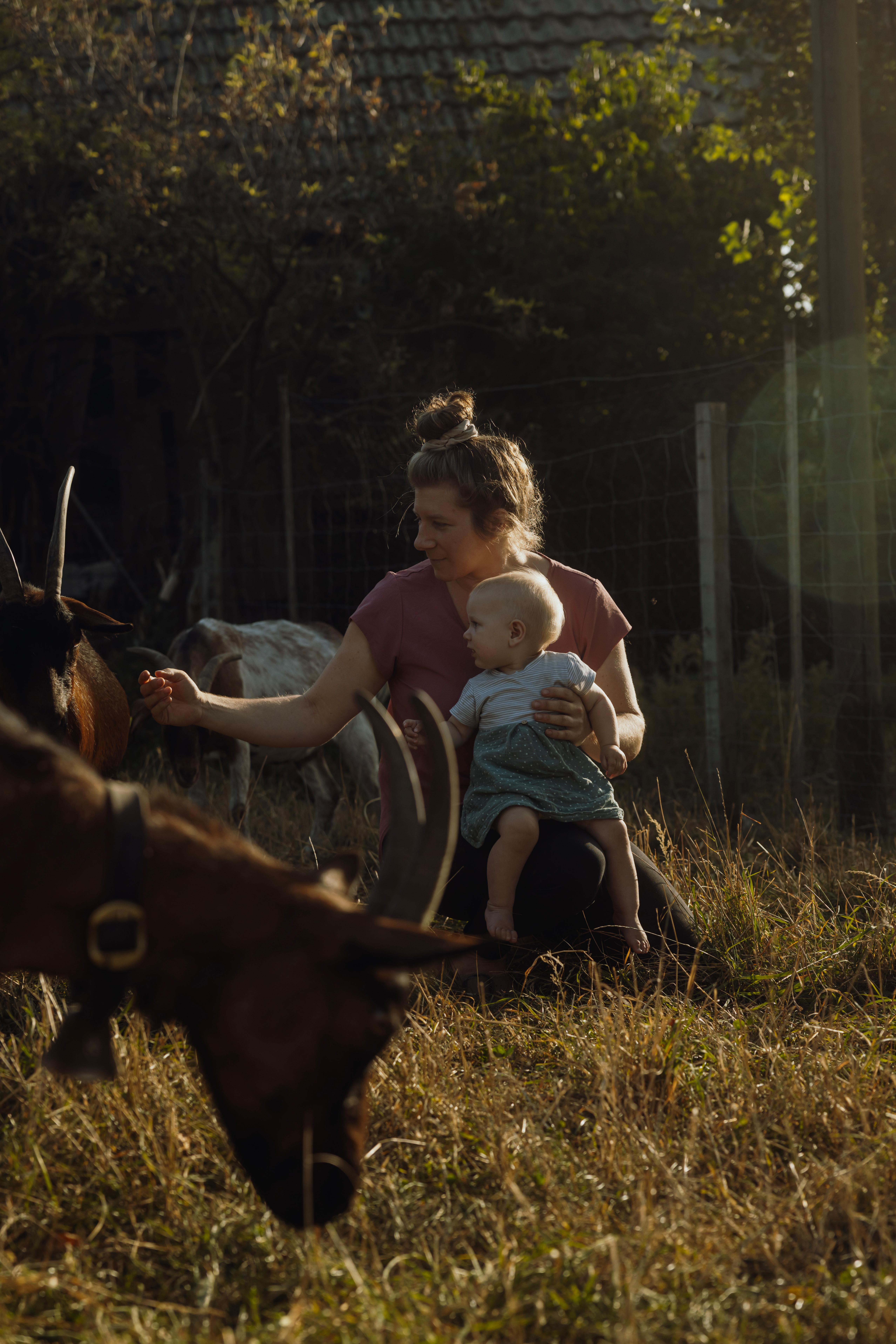 baby,person,grassland,nature,outdoors,cow,livestock,mammal,antelope,bull
